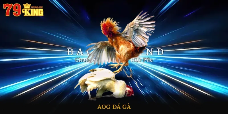 AOG đá gà