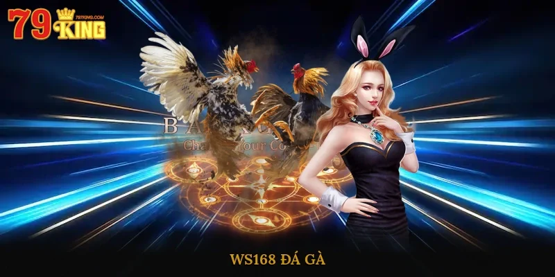 WS168 đá gà